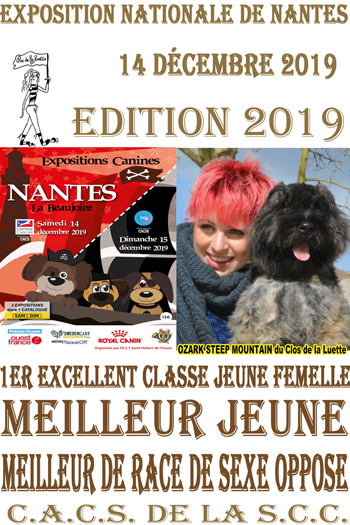 OZARK du Clos de la Luette MEILLEUR JEUNE NANTES 2019 COPYRIGHT